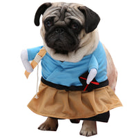 Thumbnail for Halloween Dog Costumes: Pirate, Police, Doctor, Guitar, Funny Dress JonxiFon