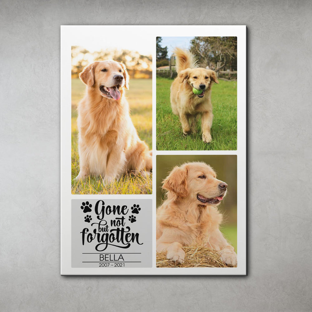 Gone But Not Forgotten - Personalized Pet Memorial Canvas AK