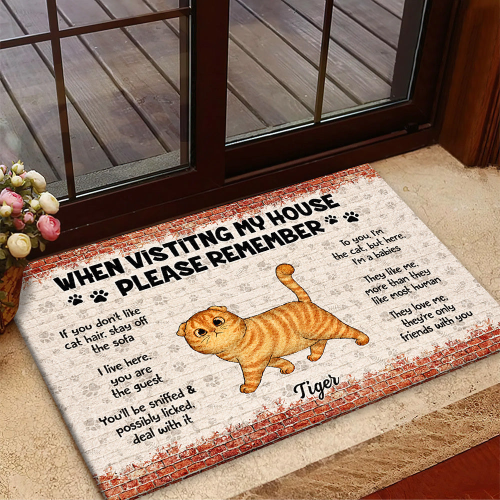Personalized Cat When Visiting Our House Please Remember House Doormat AB