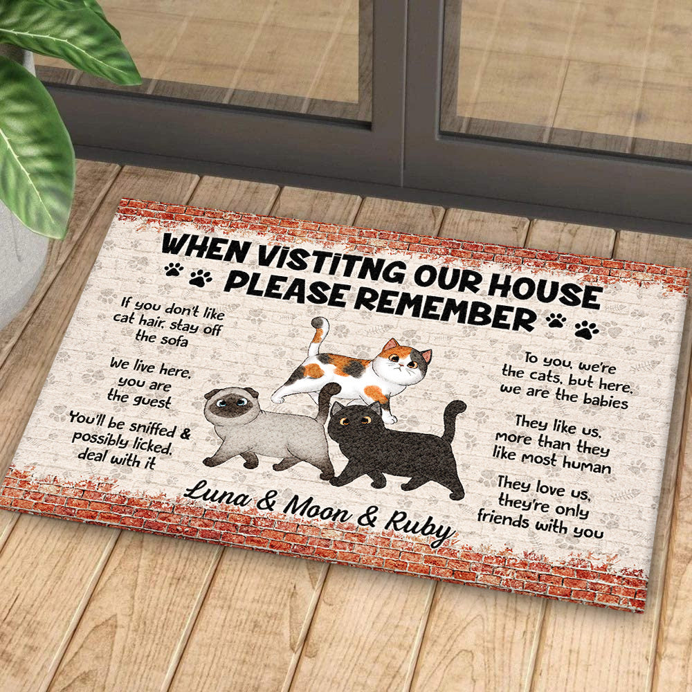 Personalized Cat When Visiting Our House Please Remember House Doormat AB