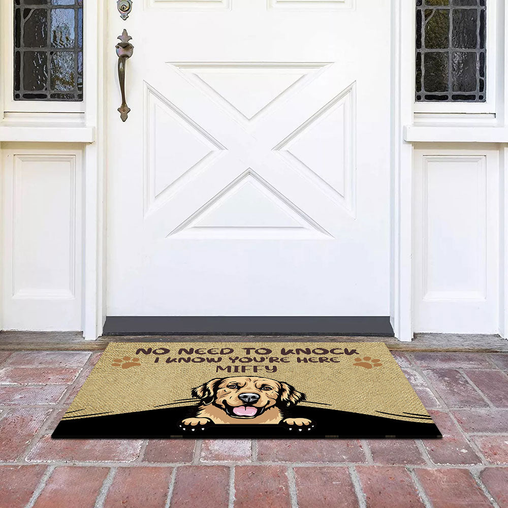 No Need to Knock We Know You're Here Funny, Personalized Dog Doormat AB