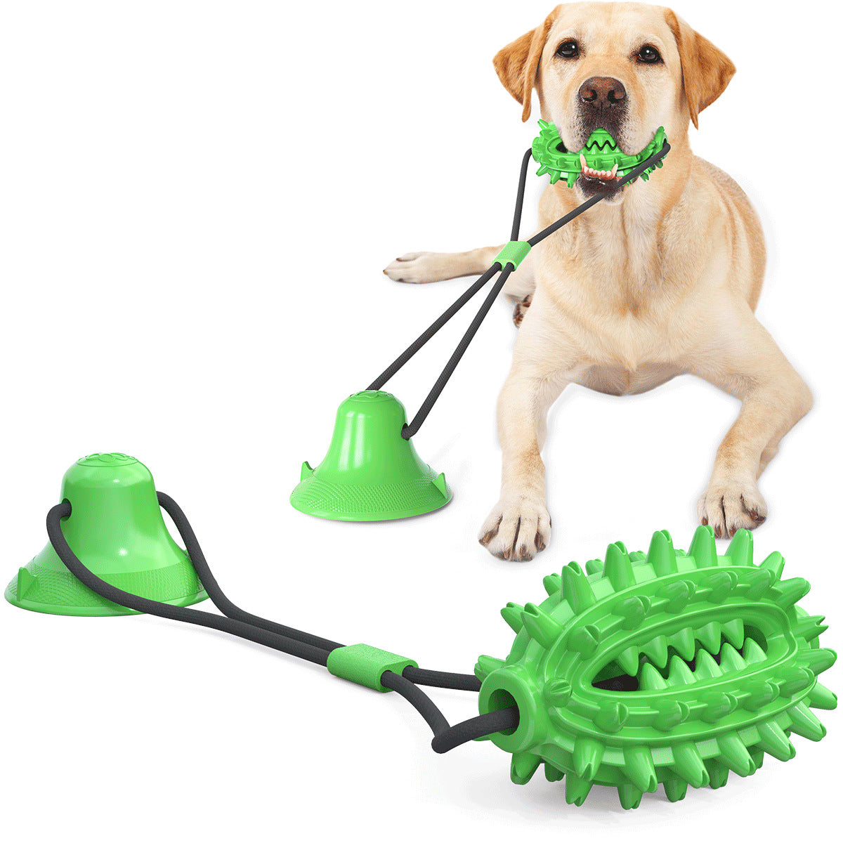 Outdoor Molar Suction Cup Dog Toy with Drawstring Ball Leakage, Dog Toy JonxiFon