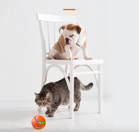 Thumbnail for Wicked Ball: New Bite-Resistant Automatic Pet Toy, Electric Smart Dog Toy Ball JonxiFon