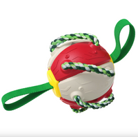 Thumbnail for Outdoor Interactive Frisbee: A bite-resistant dog toy for soccer and play JonxiFon