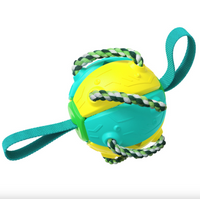 Thumbnail for Outdoor Interactive Frisbee: A bite-resistant dog toy for soccer and play JonxiFon