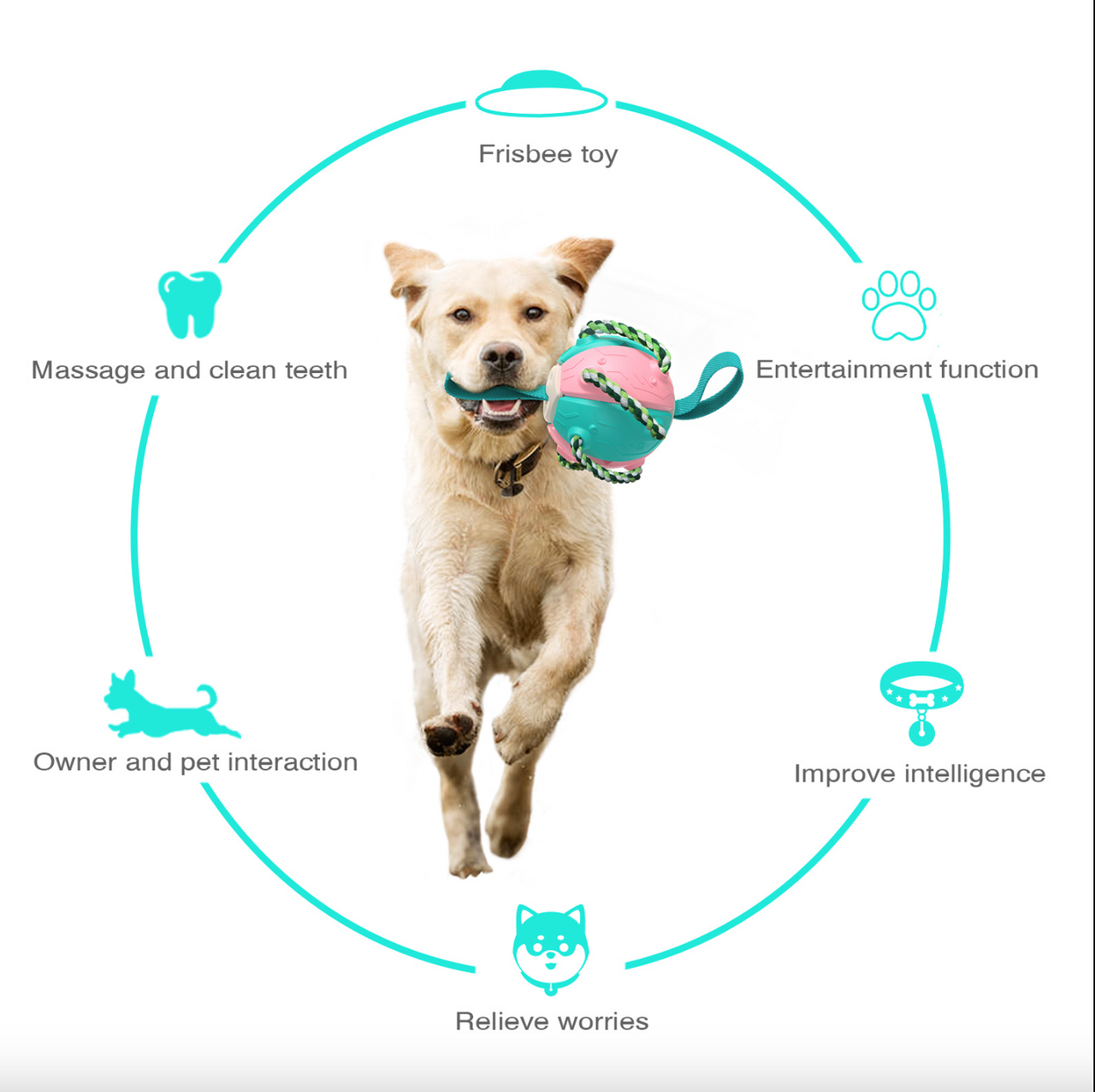 Outdoor Interactive Frisbee: A bite-resistant dog toy for soccer and play JonxiFon