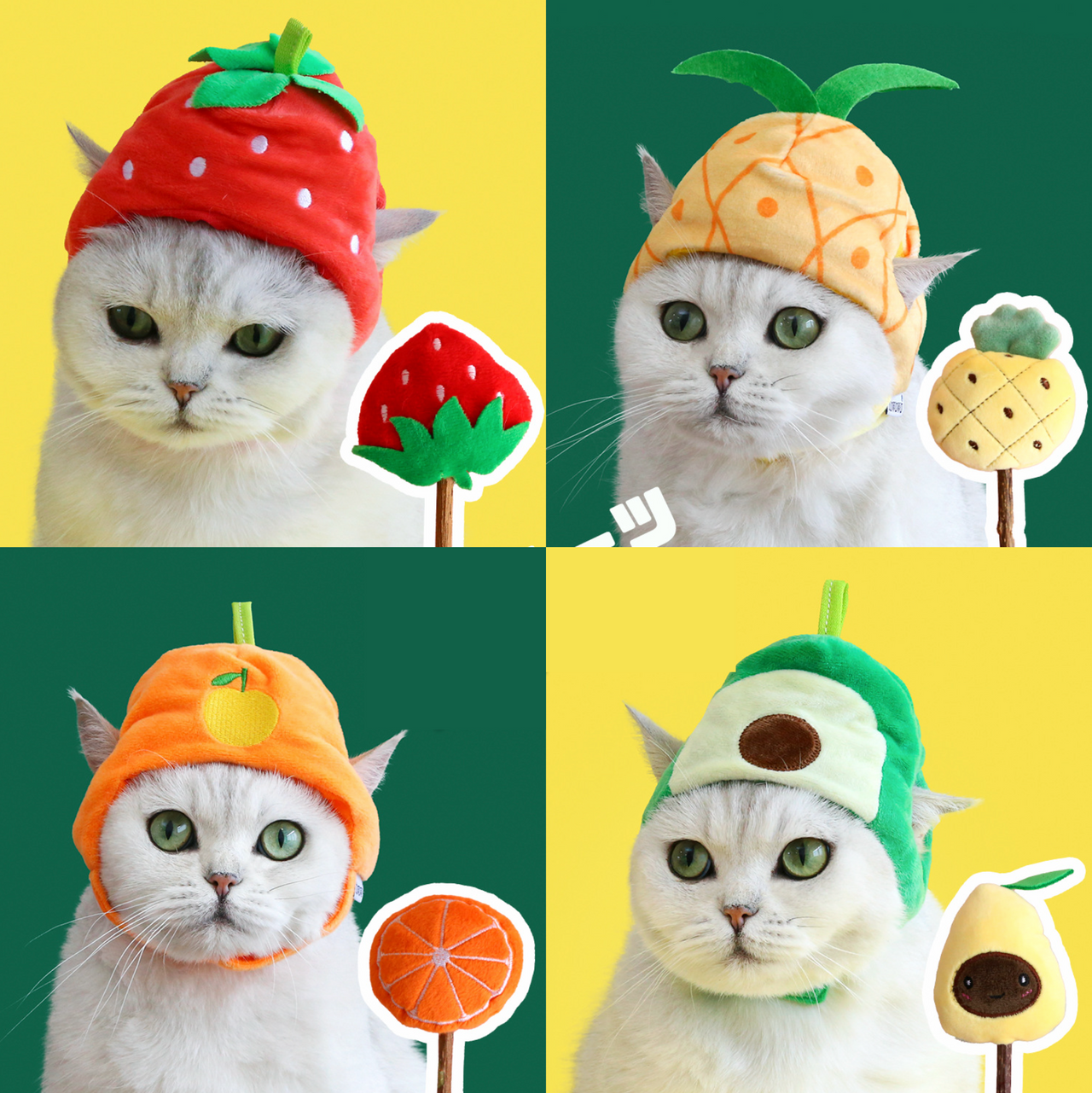 Fruit Hat & Molar Stick Set for Pets: Fun Photography Accessories, Cat Supplies JonxiFon