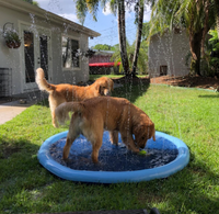 Thumbnail for High Quality Cross-border Water Play Mat Dog Dog Toy JonxiFon