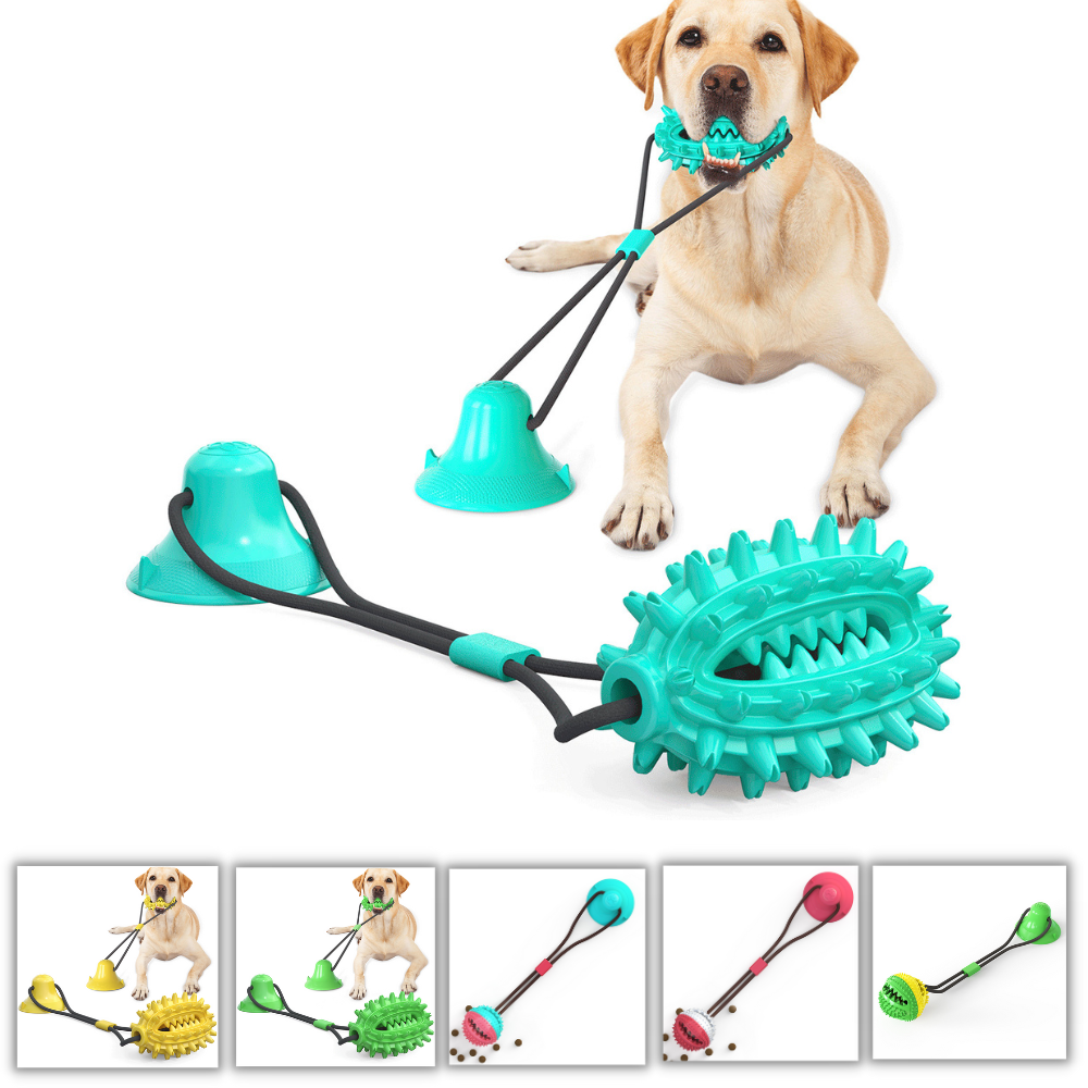 Molar Suction Cup Dog Toy With Drawstring Ball Leakage, Dog Toy – JonxiFon