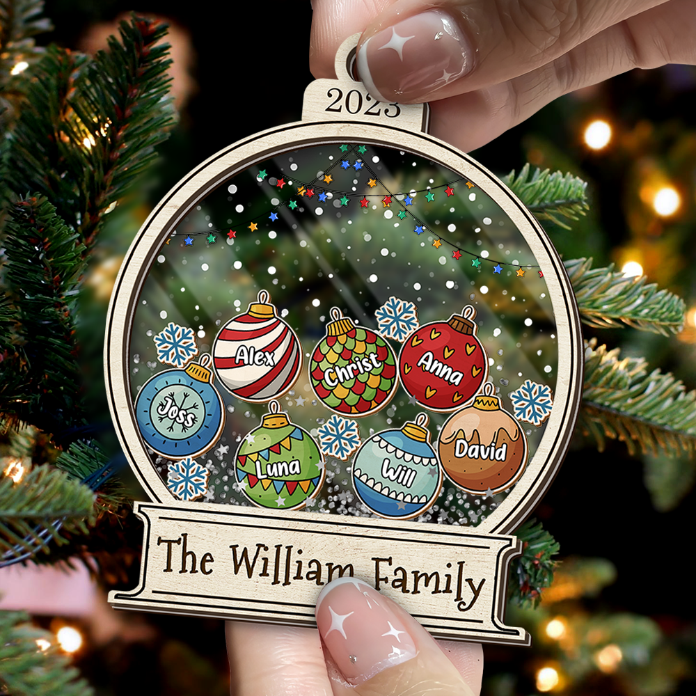 Personalized Shaker Ornament - Christmas Gift For Family - Christmas Ball With Names AC