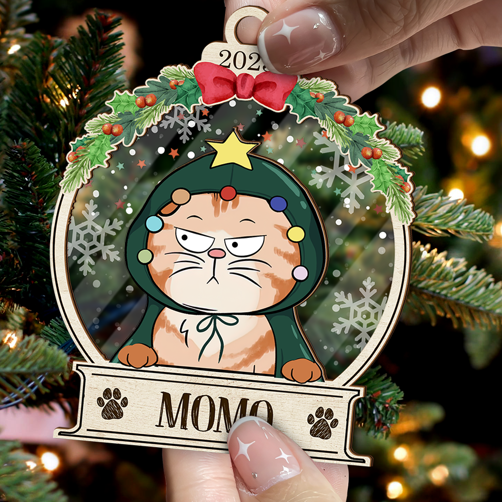 Personalized Acrylic Ornament - Christmas Gift For Pet Lovers - Funny Dog Cat With Name AC