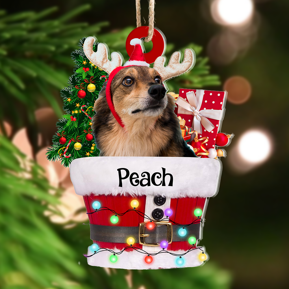 Personalized Acrylic Ornament - Christmas Gift For Family- Upload Photo Santa Bucket AC
