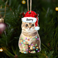 Thumbnail for Personalized Acrylic Ornament - Christmas Gift For Pet Lover - Pet Photo Christmas Hat AE