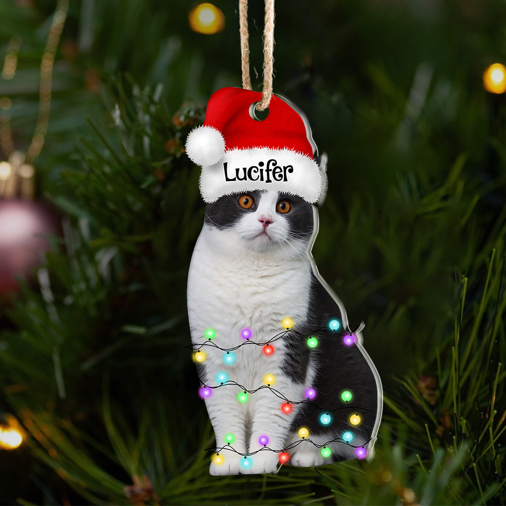 Personalized Acrylic Ornament - Christmas Gift For Pet Lover - Pet Photo Christmas Hat AE