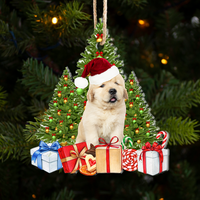 Thumbnail for Personalized Acrylic Ornament - Christmas Gift For Pet Lovers - Upload Pet Photo Christmas Tree AC