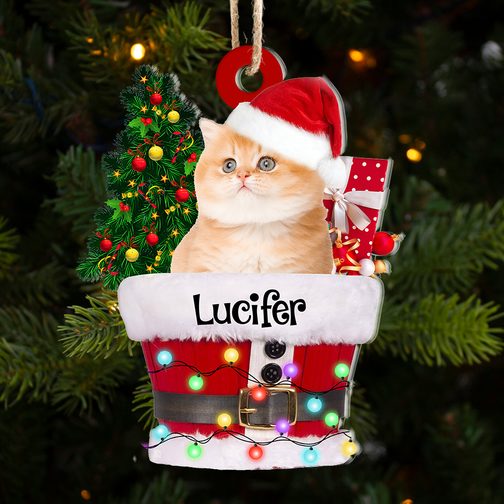Personalized Acrylic Ornament - Christmas Gift For Family- Upload Photo Santa Bucket AC