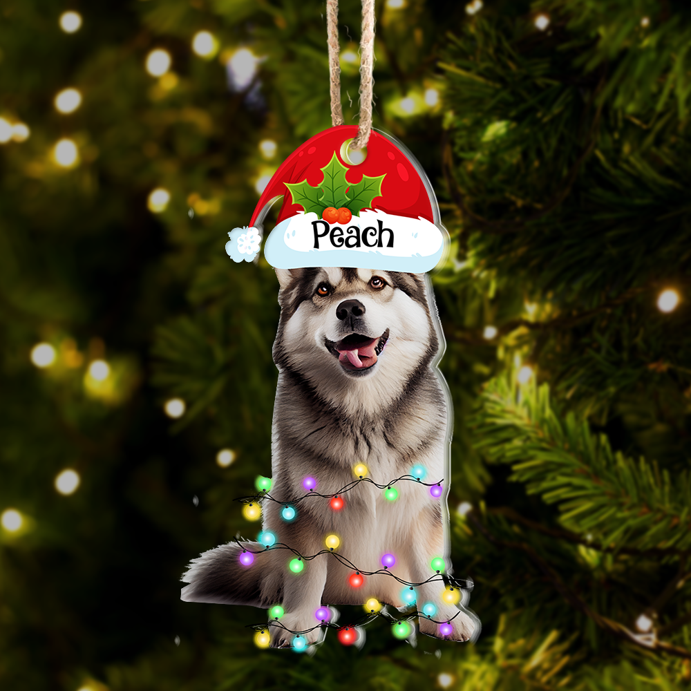 Personalized Acrylic Ornament - Christmas Gift For Pet Lover - Pet Photo Christmas Hat AE