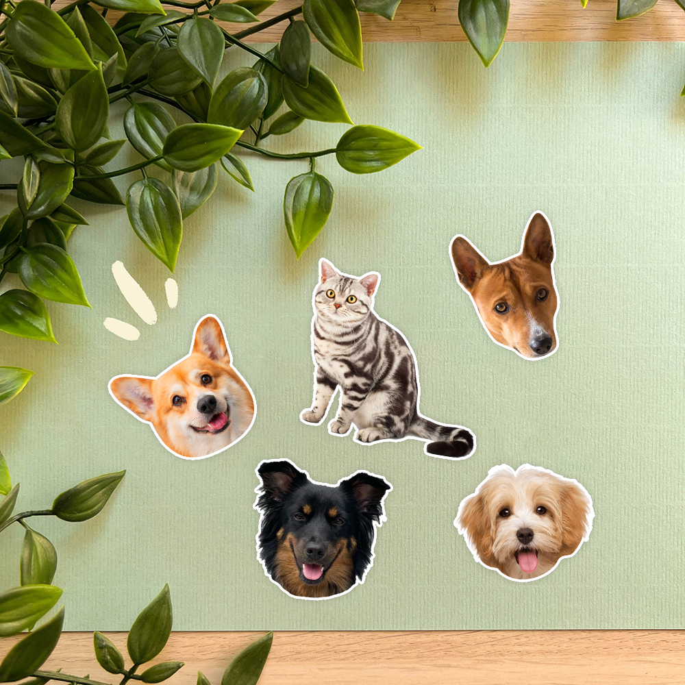 Personalized Pet Face And Body Photo Water-Resistant Stickers Sheet, Pet Lovers Decor and Craft Gift JonxiFon