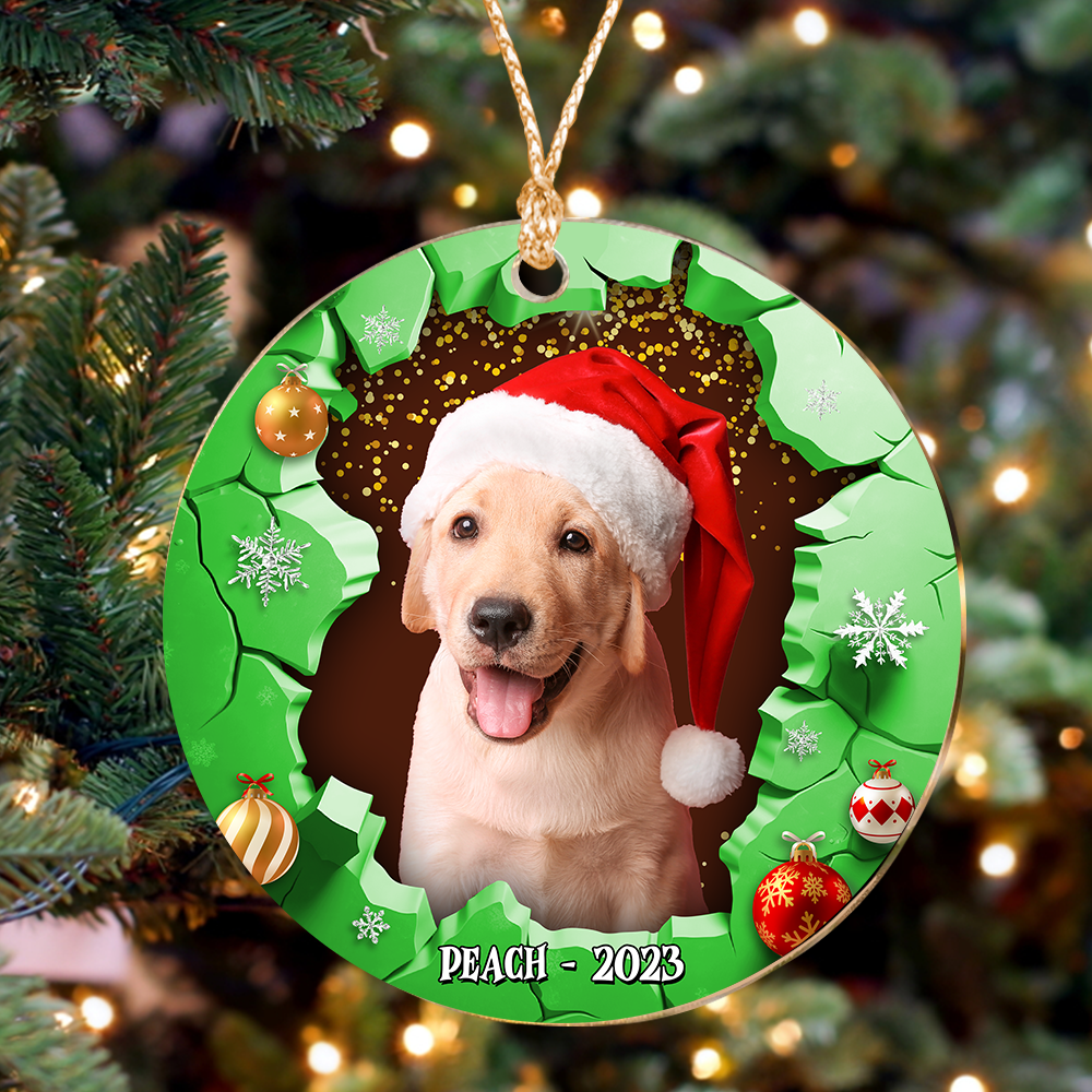 Personalized Christmas Ornament - Christmas Gift For Family - Photo Christmas Tree Decoration AE