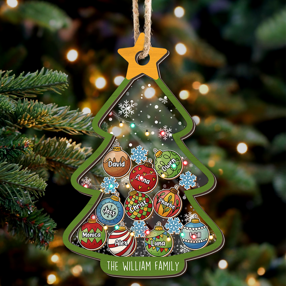 Personalized Shaker Ornament - Christmas Gift For Family - Family Christmas Tree Baubles AC