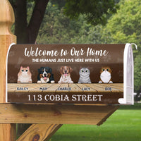 Thumbnail for The Humans just live here with us - Mailbox cover AF