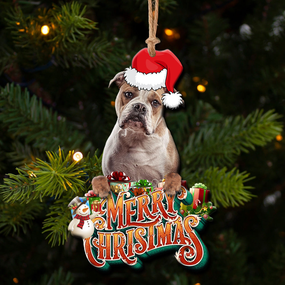 Pet Upload Photo Christmas Custom Shape Acrylic Ornament, Gift for Cat, Dog Lovers AE