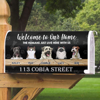 Thumbnail for The Humans just live here with us - Mailbox cover AF