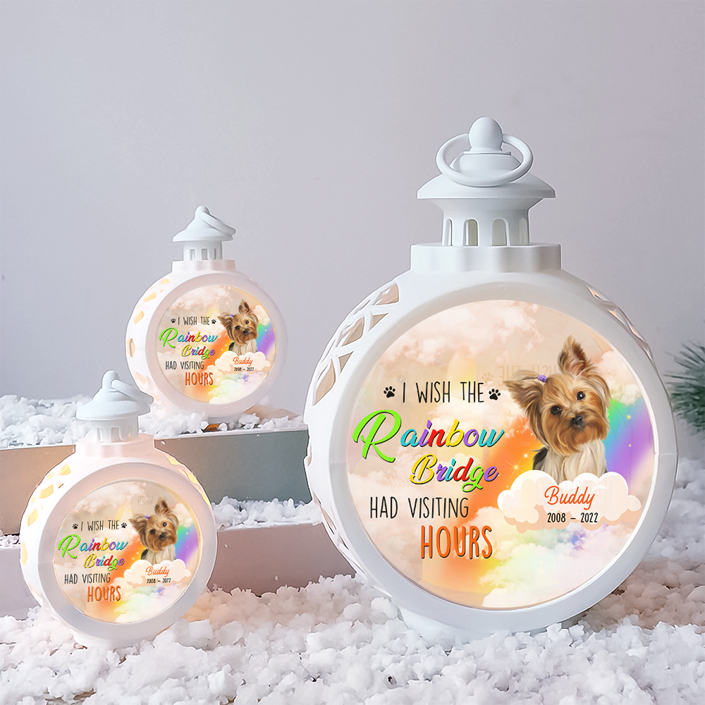 I Wish The Rainbow Bridge Dog Cat LED Light Ornament, Memorial Gift AE