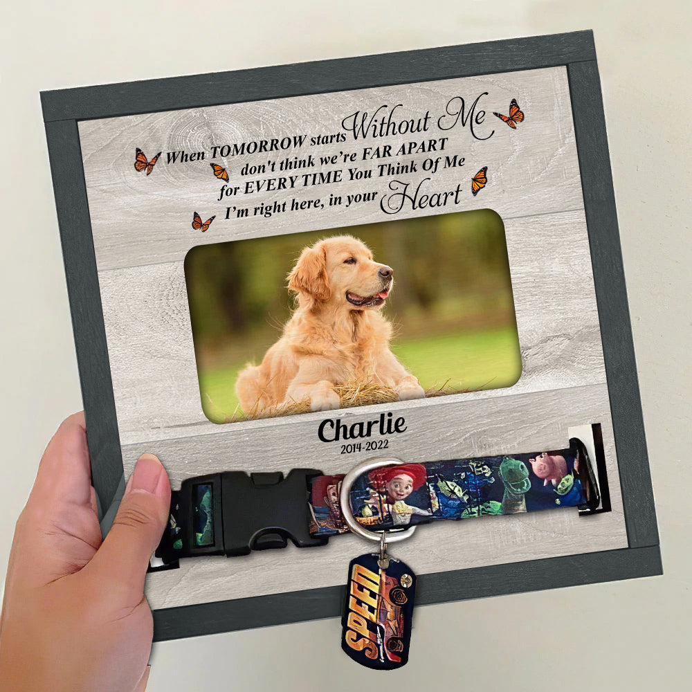 When Tomorrow Starts  Without Me Pet memorial Pet Loss - Pet Collar Holder AA