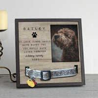 Thumbnail for Pet Memorial gifts - Pet Collar Holder AA
