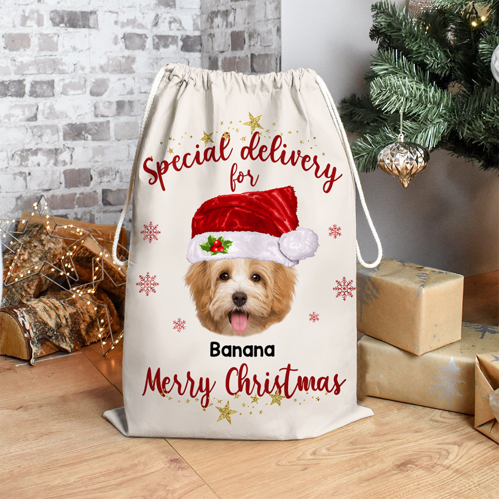 Personalized Face Photo Special Delivery For Christmas Bag, Christmas Gift For Family AB