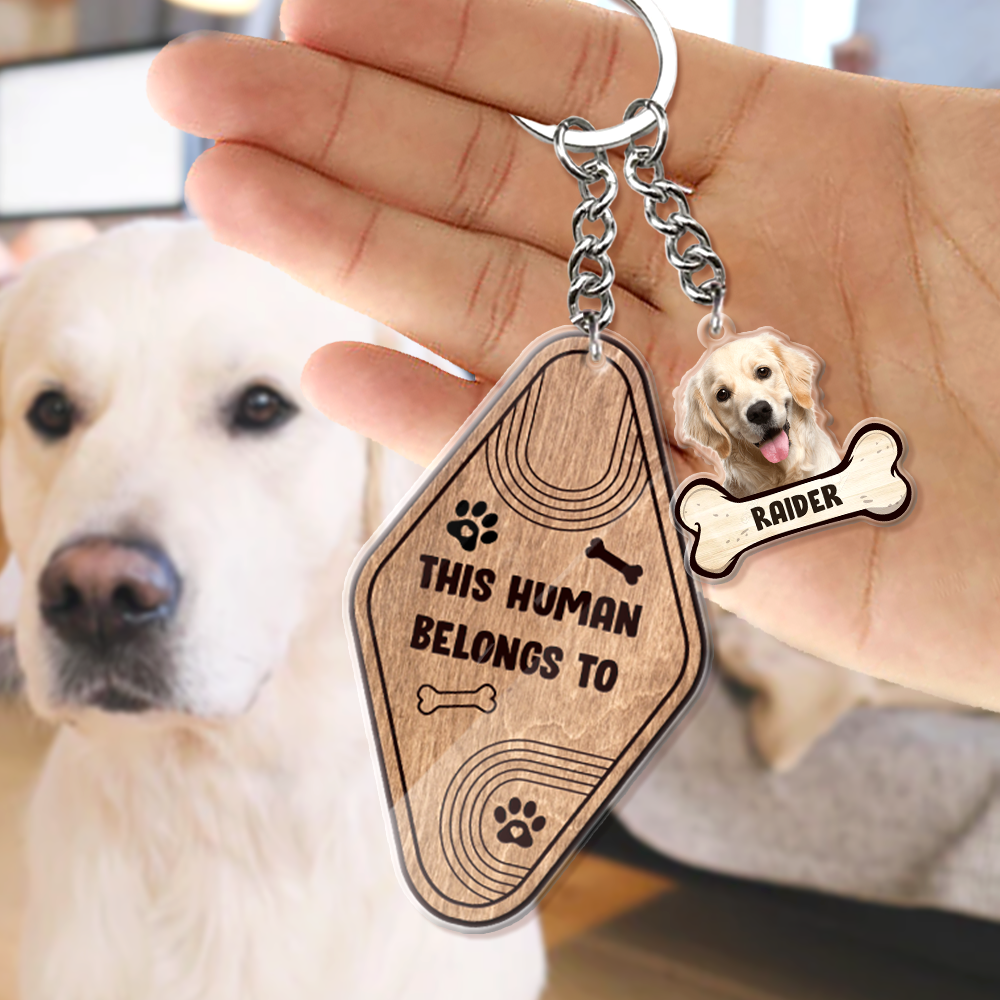 This Human Belongs To Dog Bone Acrylic Keychain, Dog Lover Gift AC