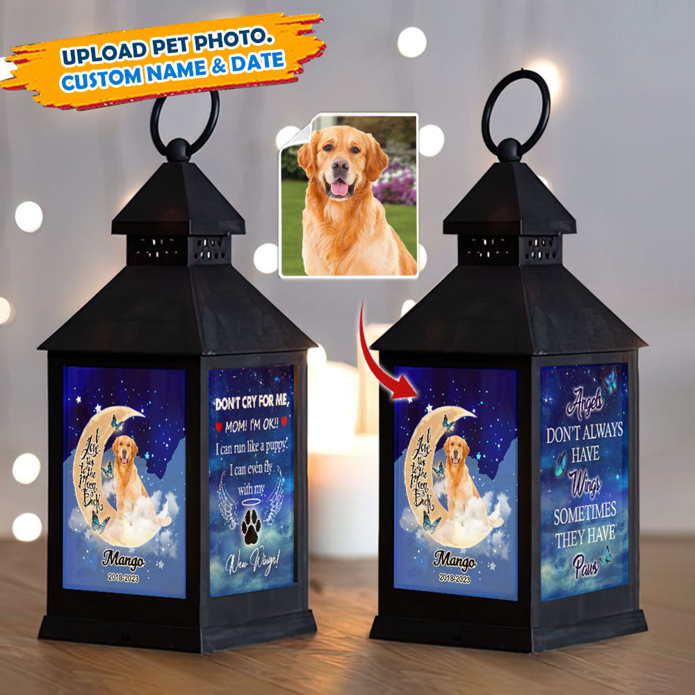 Custom Dog Photo Dont cry for me Memorial Lantern II, Pet Memorial Gift JonxiFon