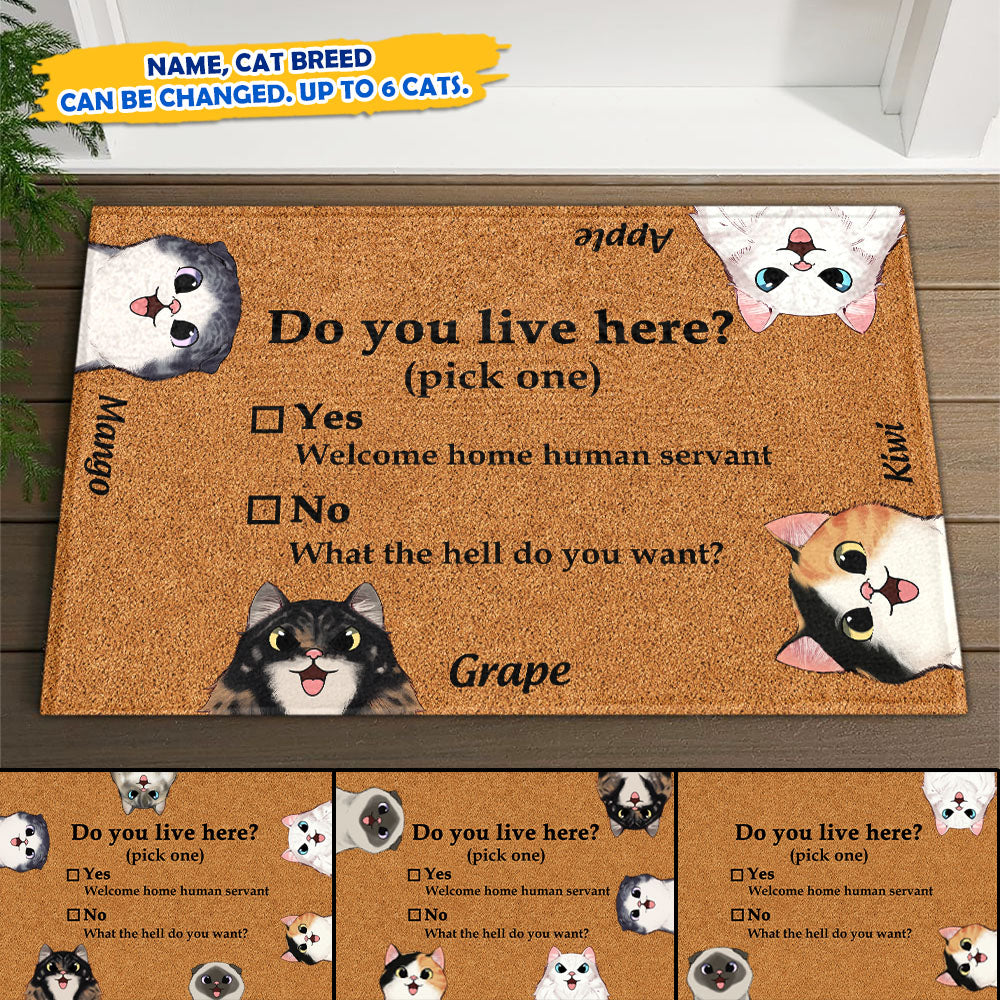 Do You Live Here Cat Personalized Doormat, Gift For Cat lovers JonxiFon