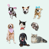 Thumbnail for Custom Photo Pet Magnets, Fridge Magnet, Gift for Pet Lovers JonxiFon