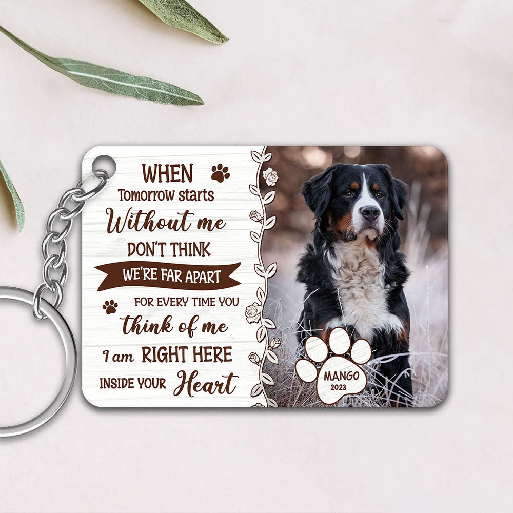 Personalized When You Miss Me Dog Cat Memorial Acrylic Keychain, Gift For Pet Lovers JonxiFon