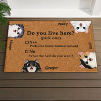 Thumbnail for Do You Live Here Cat Personalized Doormat, Gift For Cat lovers JonxiFon