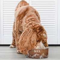 Thumbnail for Mountain Rustic Faux Wood Pet Ceramic Bowl, Dog Lover Gift Printway
