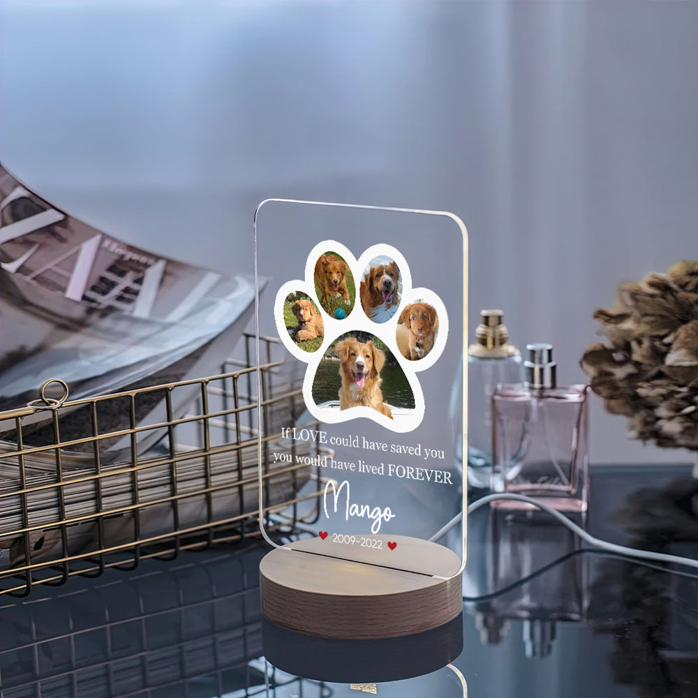 Custom Paw Prints Photo Pet Memorial Lamp With Wooden Round Stand, Memorial Gift AC