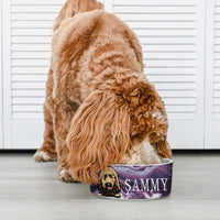 Thumbnail for Liquid Color Pet Ceramic Bowl, Dog Lover Gift Printway