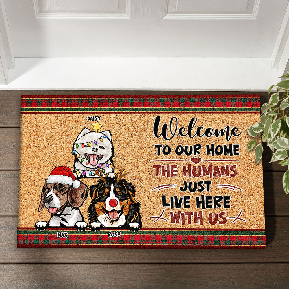 Personalized  Dog Cat Welcome To Our Home Christmas Doormat, House Decor AB