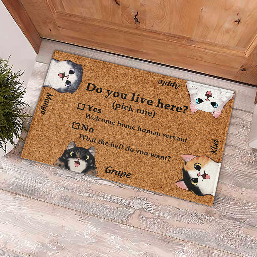 Do You Live Here Cat Personalized Doormat, Gift For Cat lovers JonxiFon