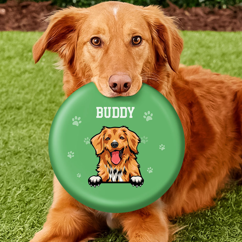 Custom Dog Cartoon Flying Disc, Gift For Dog Lover, Dog Frisbee AZ