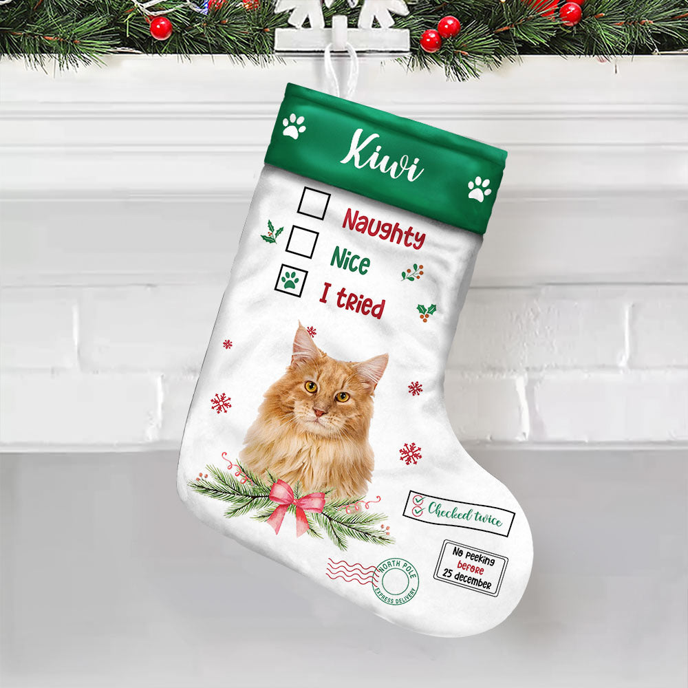 Personalized Naughty Nice I Tried Pet Photo Xmas Stocking, Personalized Christmas Stocking, Gift For Kids AB