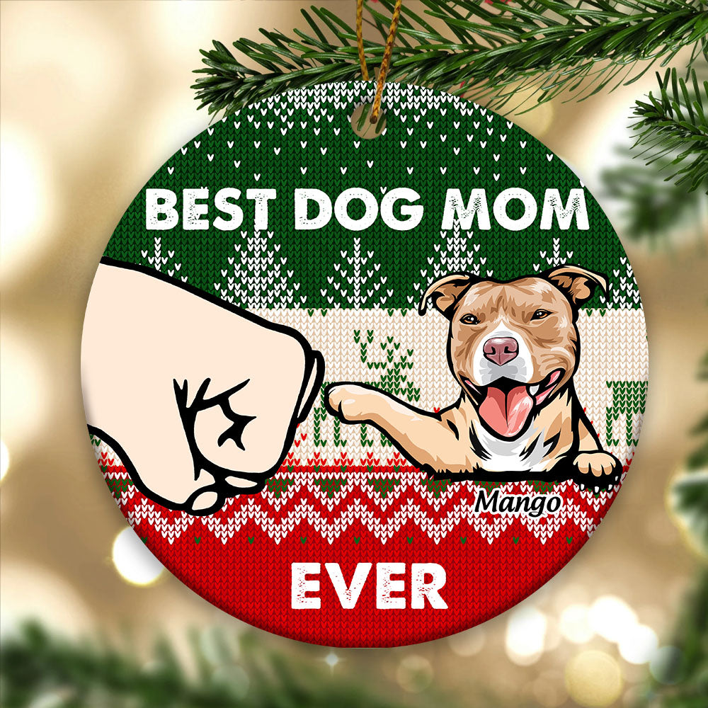 Personalized Best Dog Dad Ever Christmas Ceramic Ornament, Personalized Decorative Ornament AE