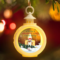 Thumbnail for On The Naughty List Dog Cat Christmas LED Light Ornament, Christmas Gift AE