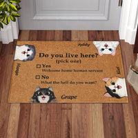 Thumbnail for Do You Live Here Cat Personalized Doormat, Gift For Cat lovers JonxiFon