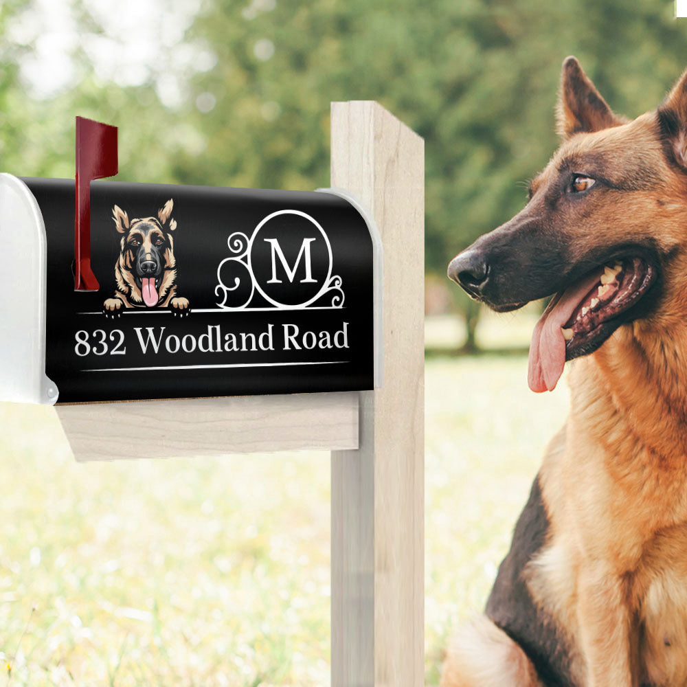 Custom Family Name House Address Magnetic Mailbox Cover, Pet Lover Gift AF