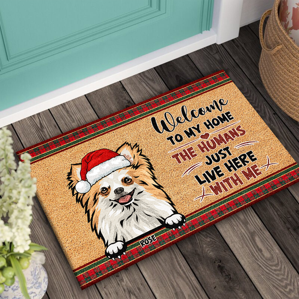 Personalized  Dog Cat Welcome To Our Home Christmas Doormat, House Decor AB