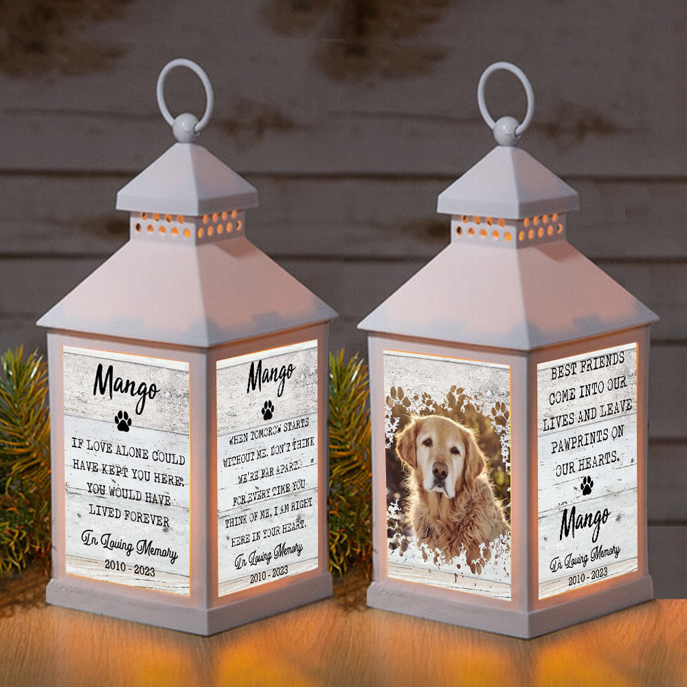 If Love Alone Could Have Kept You Pet Memorial Lantern II, Memorial Gift JonxiFon